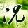 新三国演义